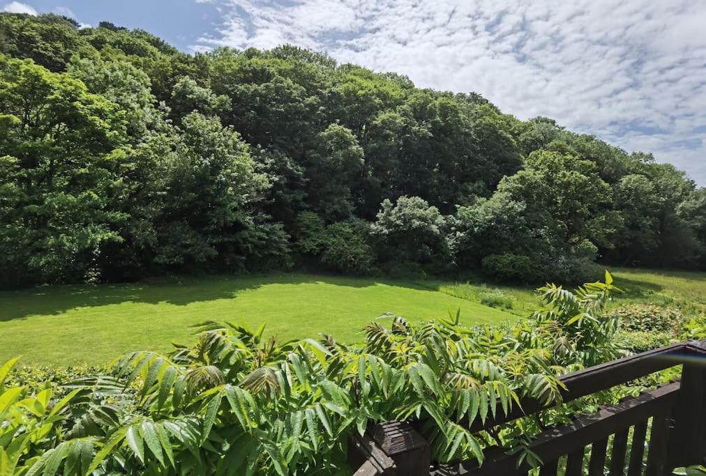 Kallowen Cottage At Crackington Haven, Near Bude And Boscastle, Cornwall Екстер'єр фото